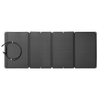 Image of EcoFlow DELTA + 2x 160W Solar Panel