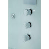 Image of Maya Bath Catania Platinum White 2-Person Freestanding Steam Shower 301